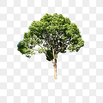 pngtree download free
