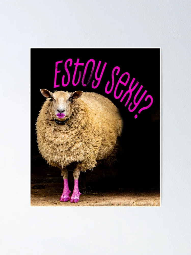 sexy sheep