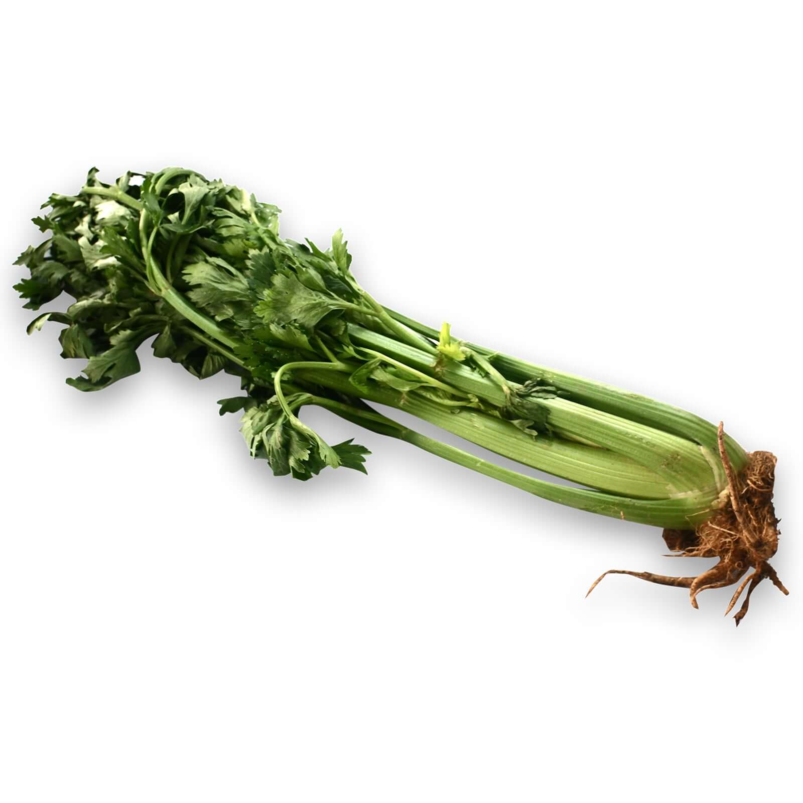 celery price philippines 2019