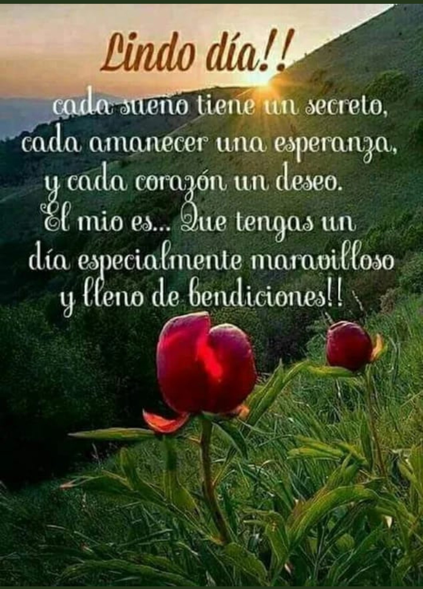 bendiciones lindo dia