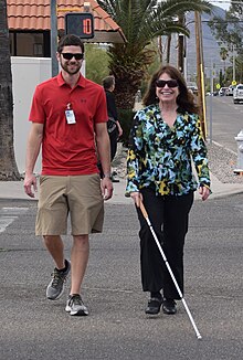 what is meant by honour the white cane