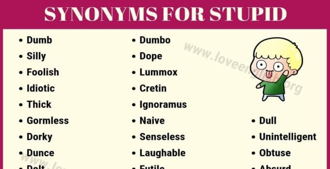 stupid synonyms