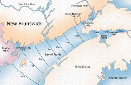 bay of fundy tide chart