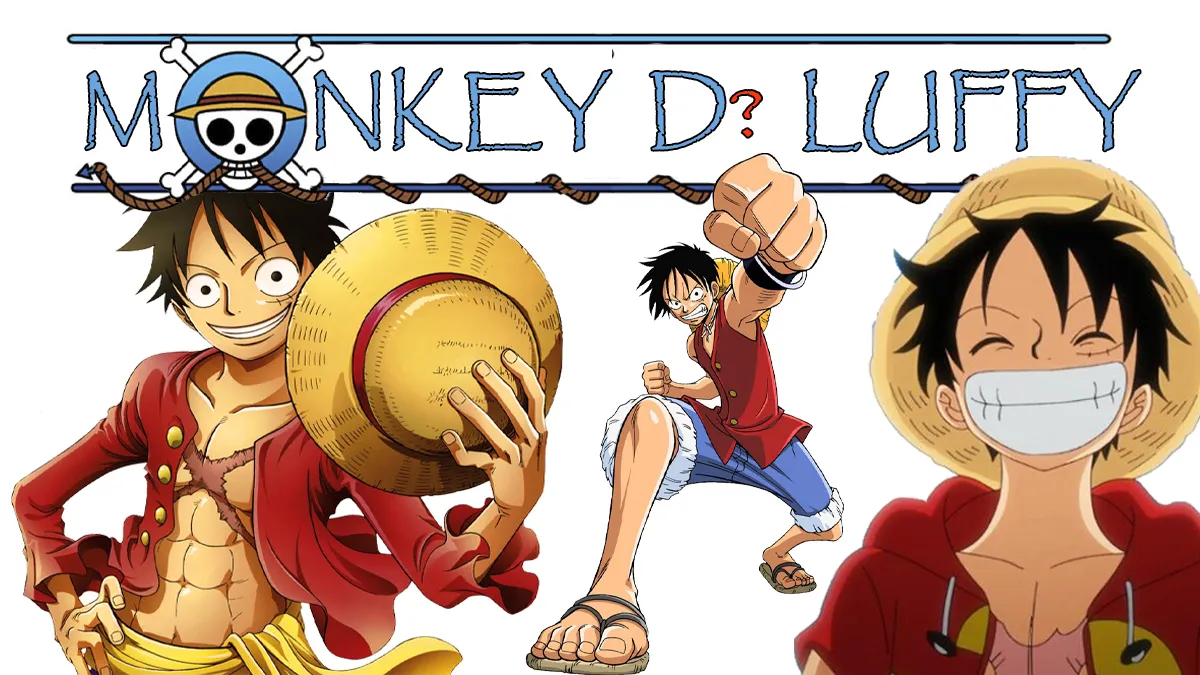 what is luffy full name