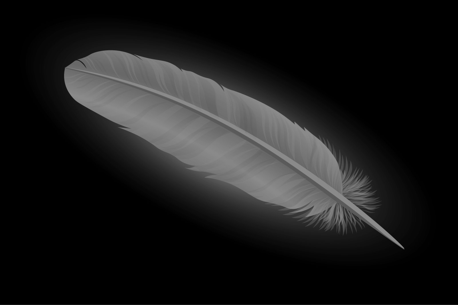 dark grey feather meaning