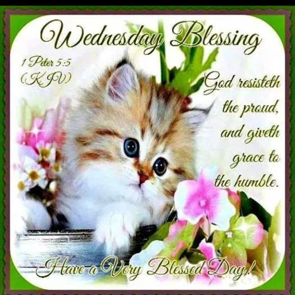 wednesday blessings bible verses