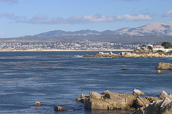 monterey wiki