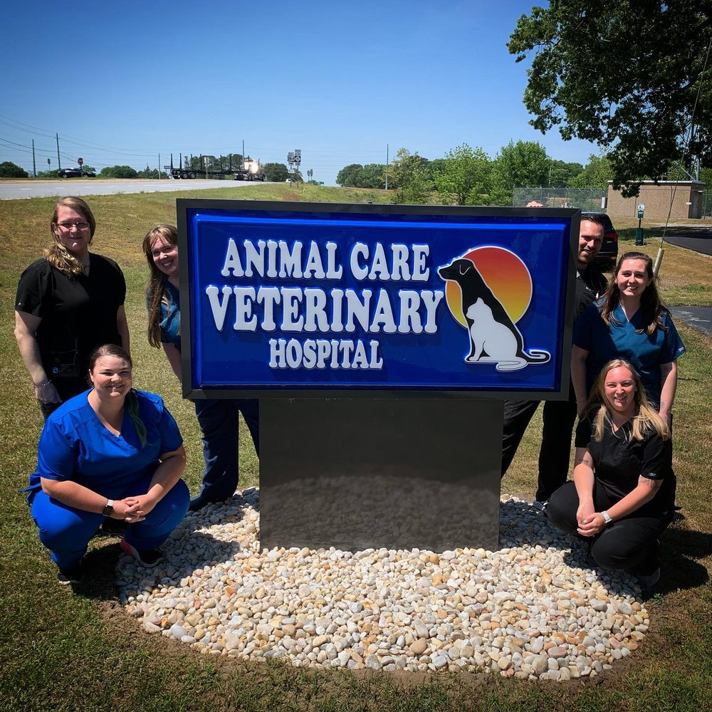 warsaw animal hospital nc