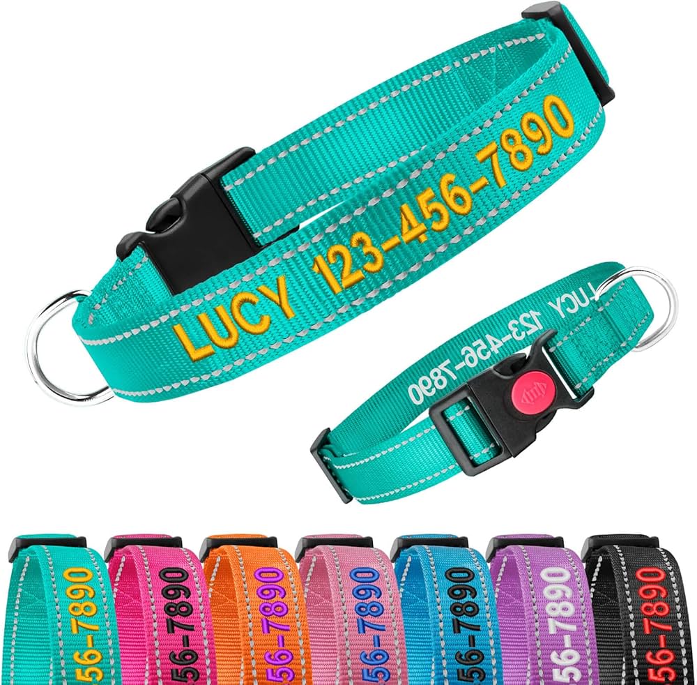 personalized puppy collars