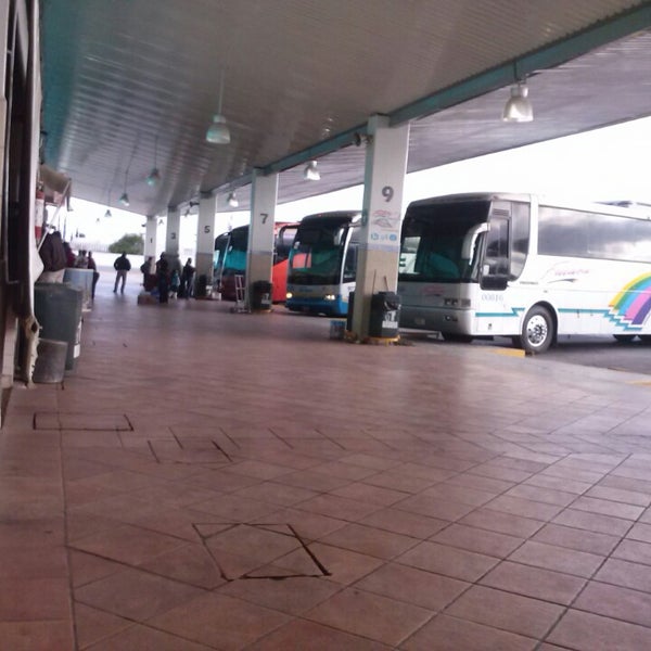 autobuses a matehuala san luis potosi