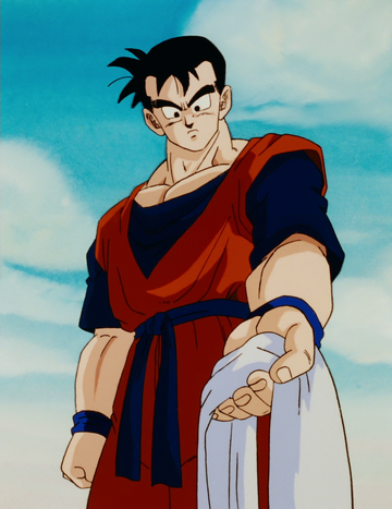 future gohan mystic