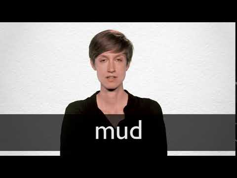 mud synonym