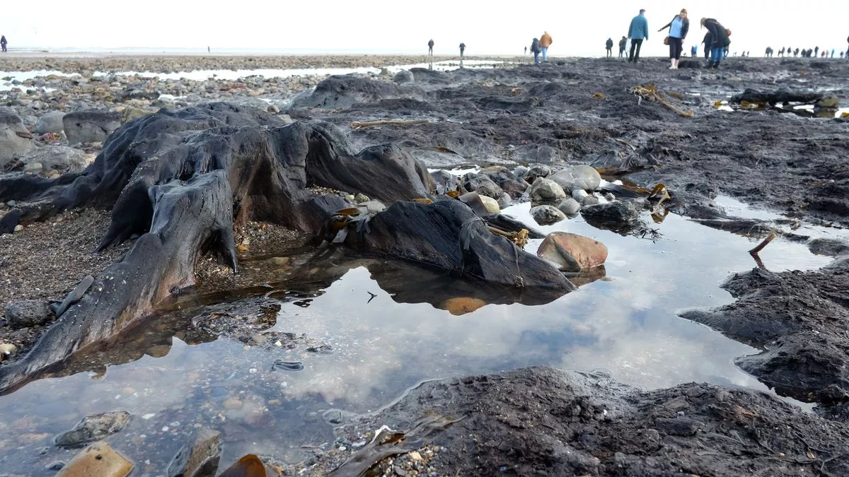 tides at redcar