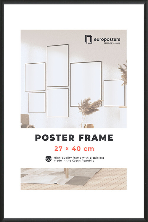 poster frame 40 x 27