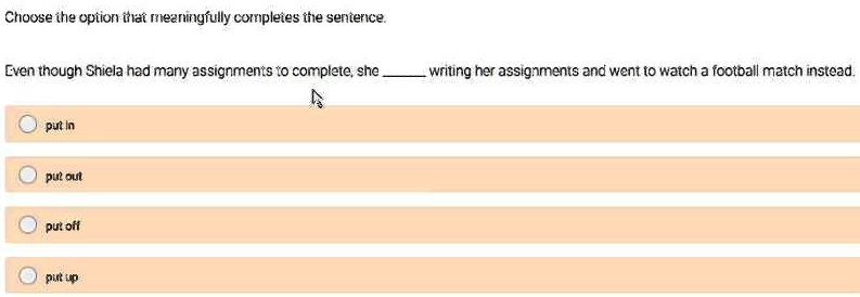 choose the option that meaningfully completes the sentence