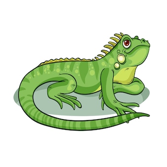 dibujos de lagarto