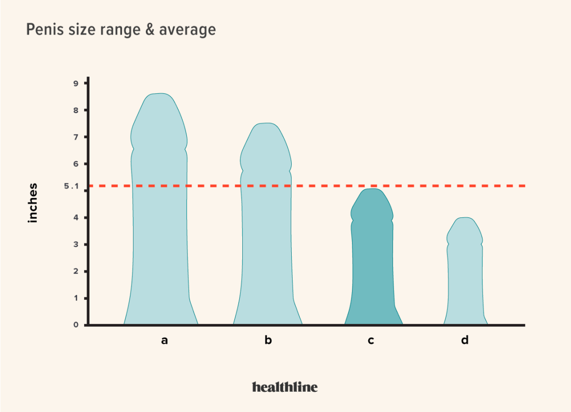 what is average size for a guy