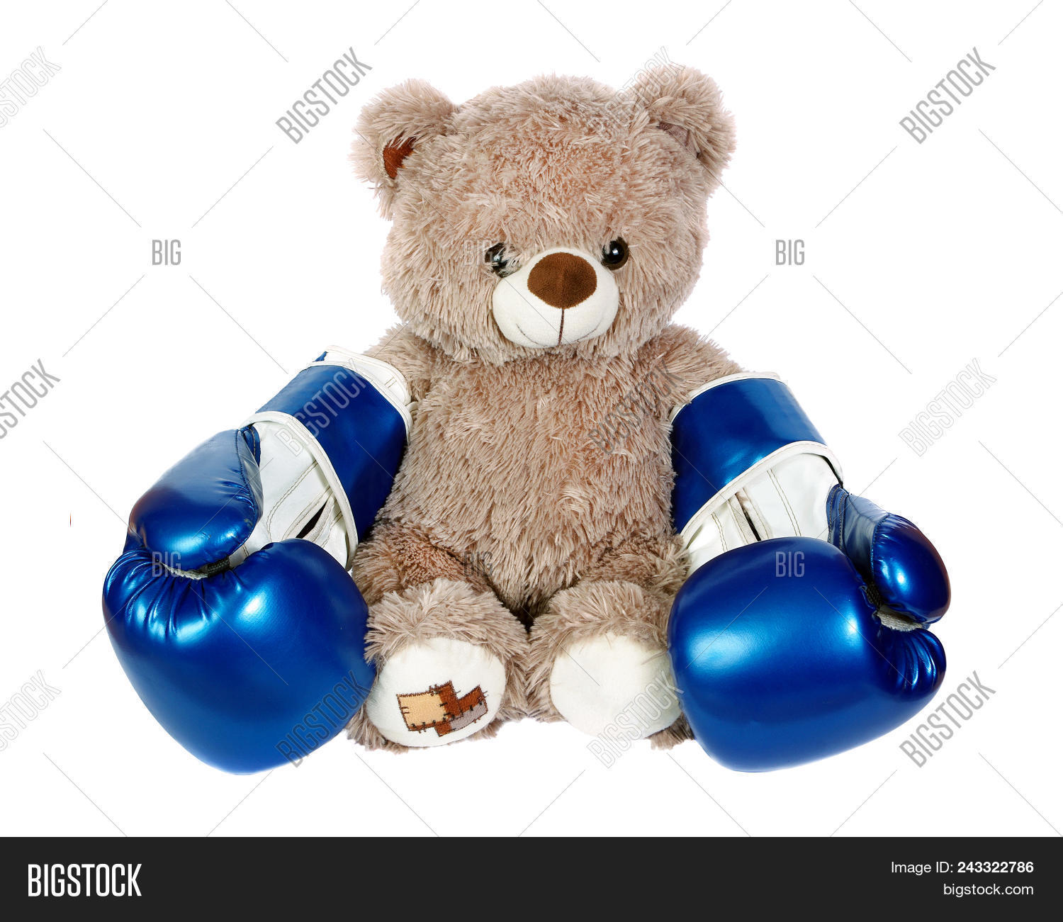 boxer teddy bear
