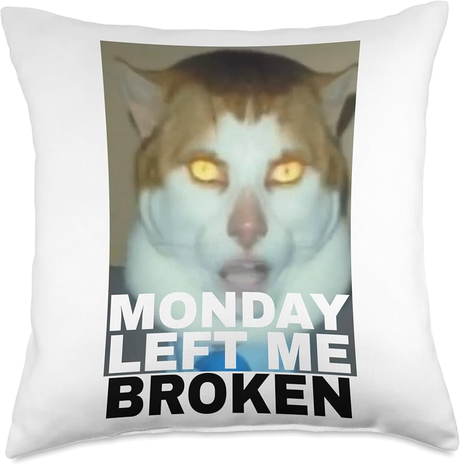 monday left me broken cat