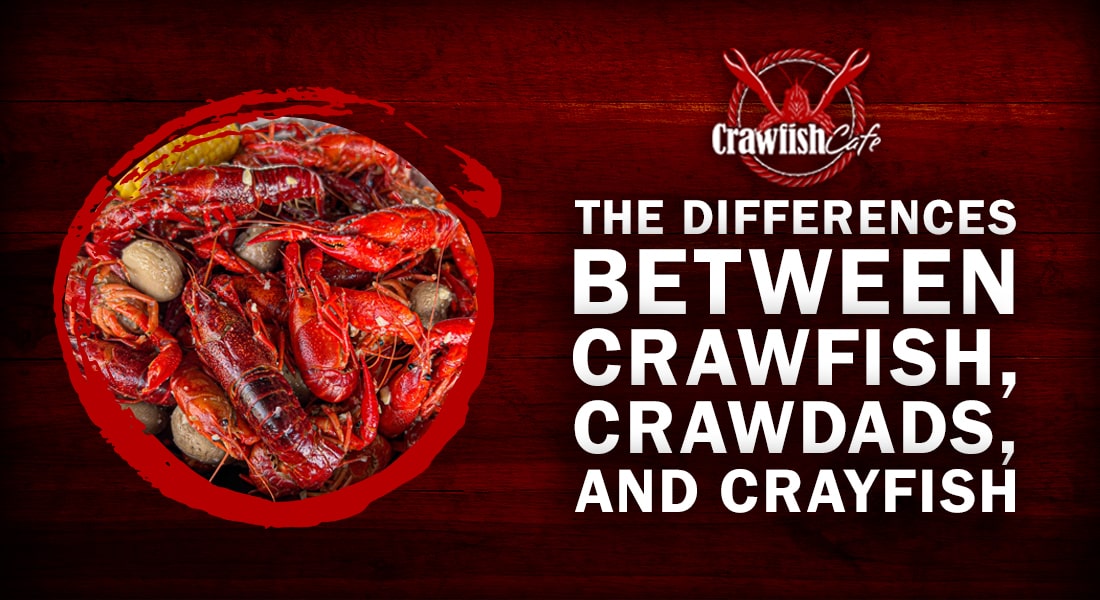 crawdaddys crawfish