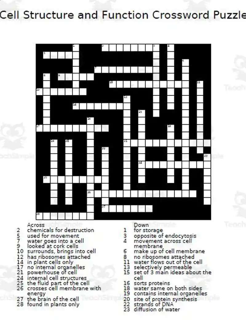 flows out crossword