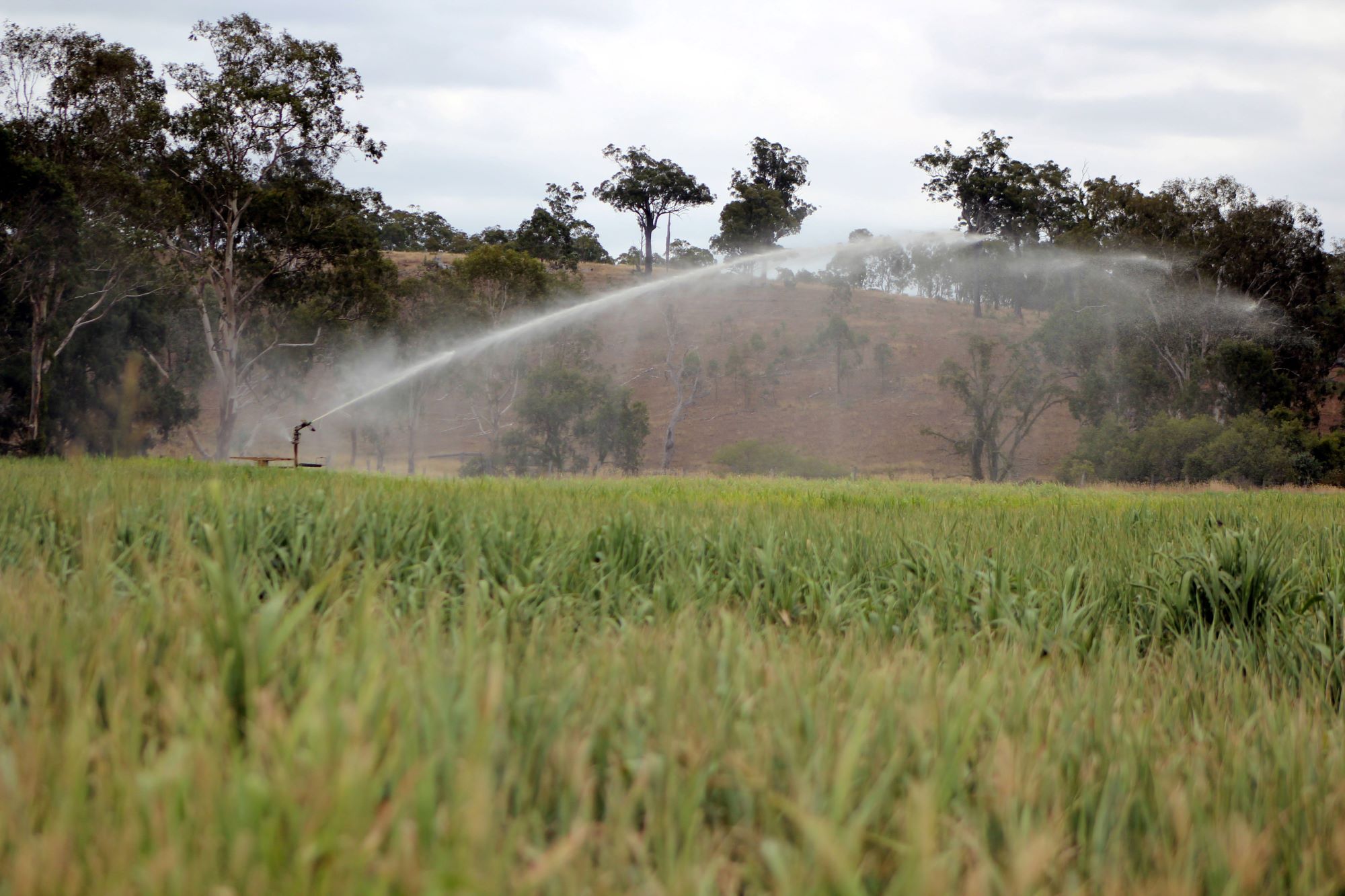 irrigation supplies caboolture