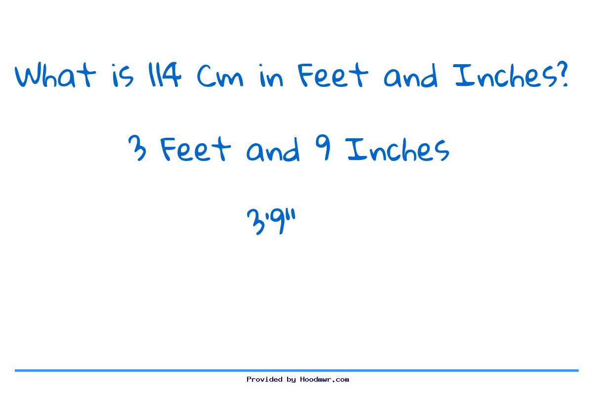 114cm to inch