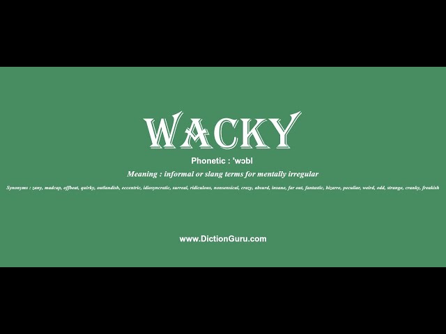 synonyms of wacky