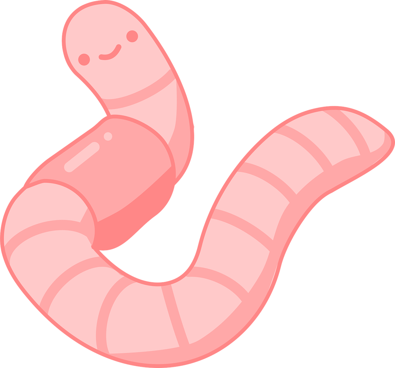 worm vector png