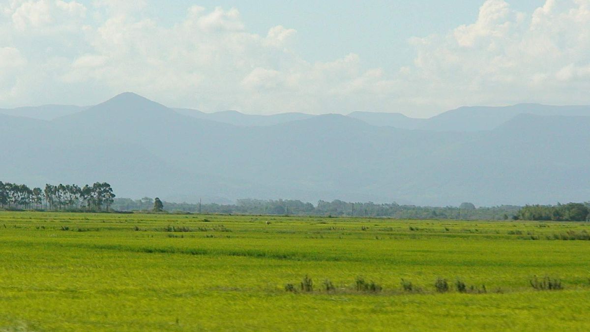 grassy south american plain
