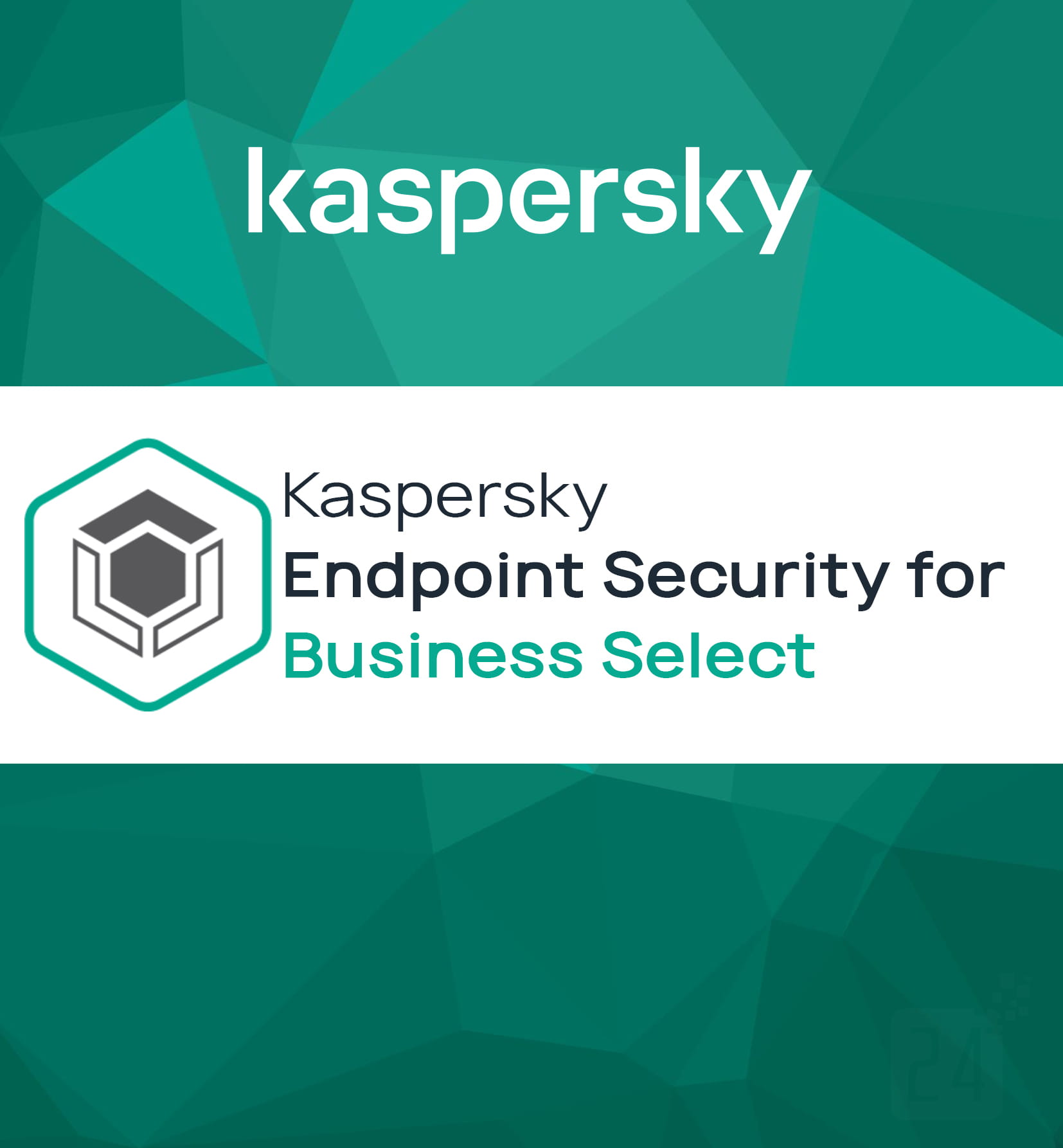 download kaspersky business select