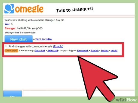 omegle wiki