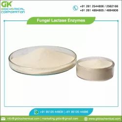 lactase enzyme manufacturers india