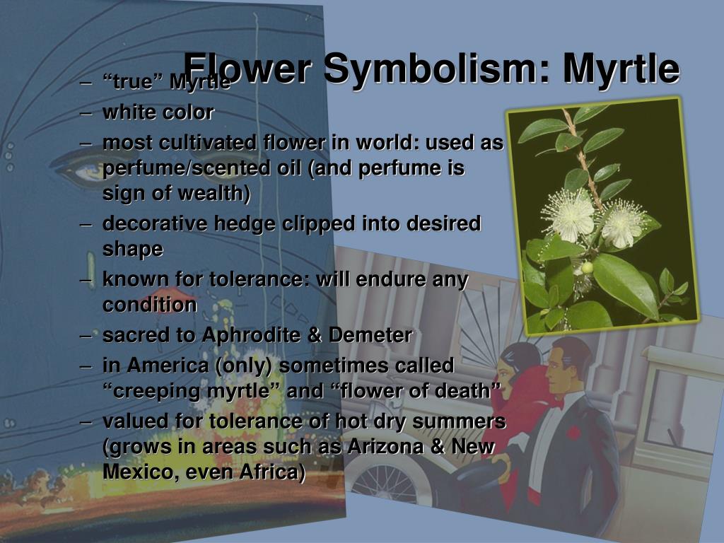 myrtle flower symbolism in the great gatsby