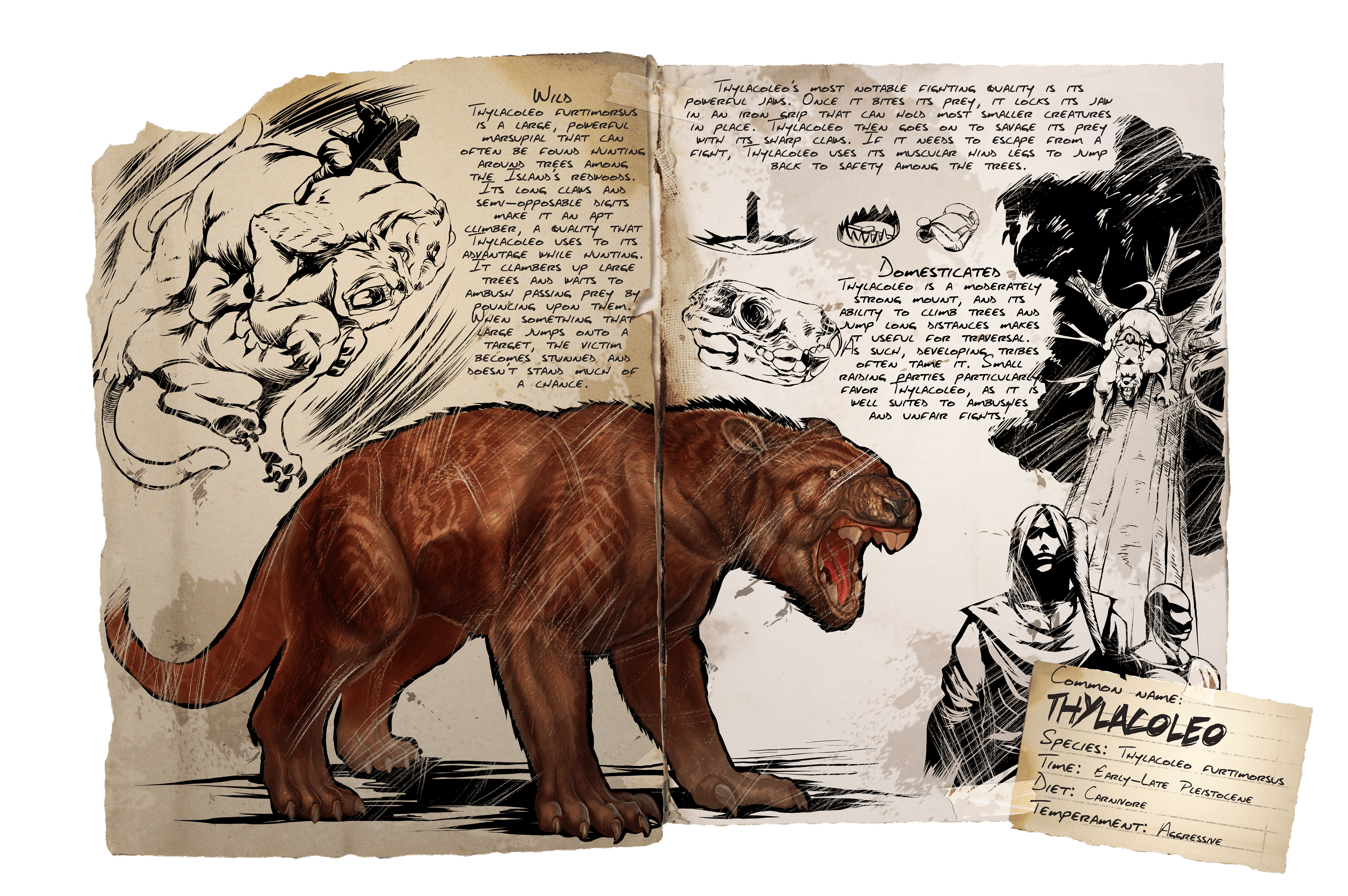 tame thylacoleo