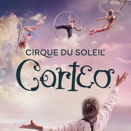 cirque du soleil past shows