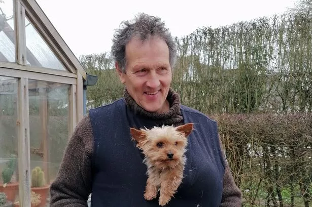 monty don patti