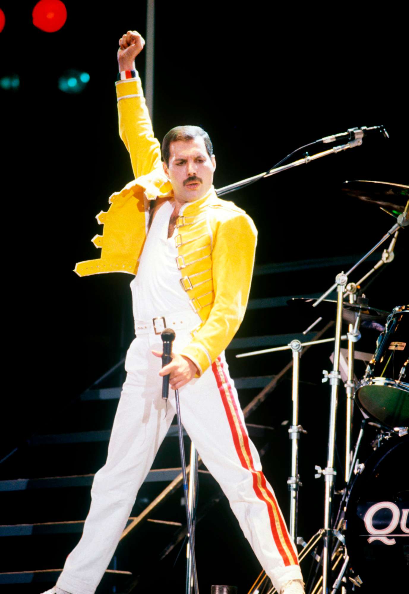 what year did freddie mercury die