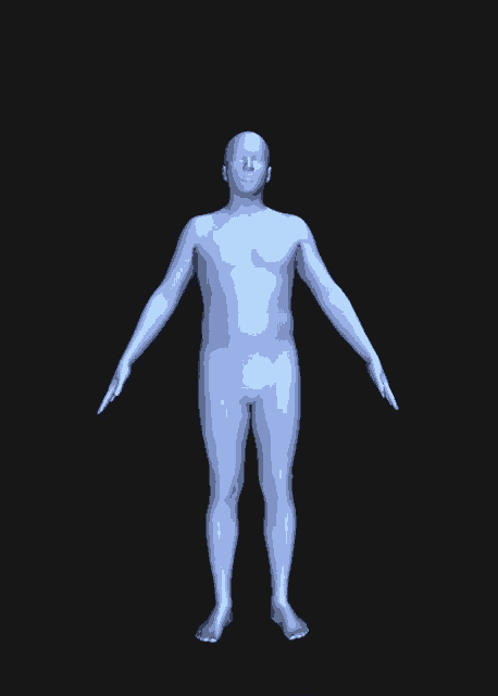 male body visualizer