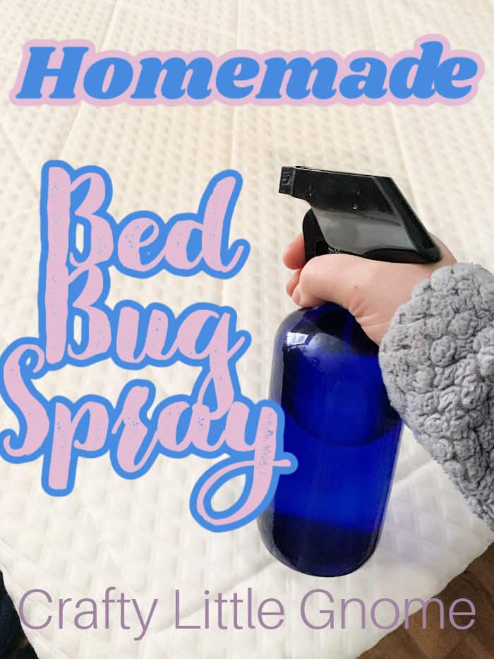 homemade bed bug spray
