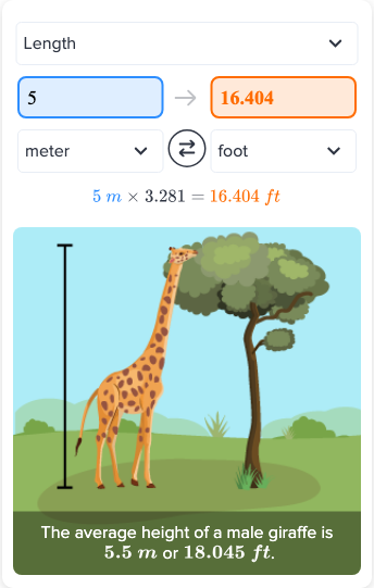 what is five meters in feet