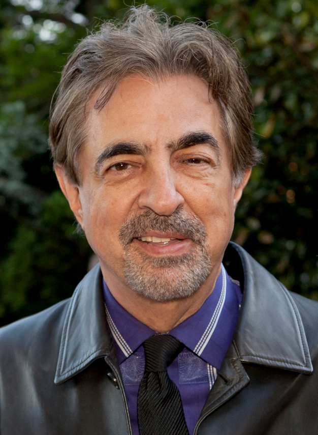 david rossi actor