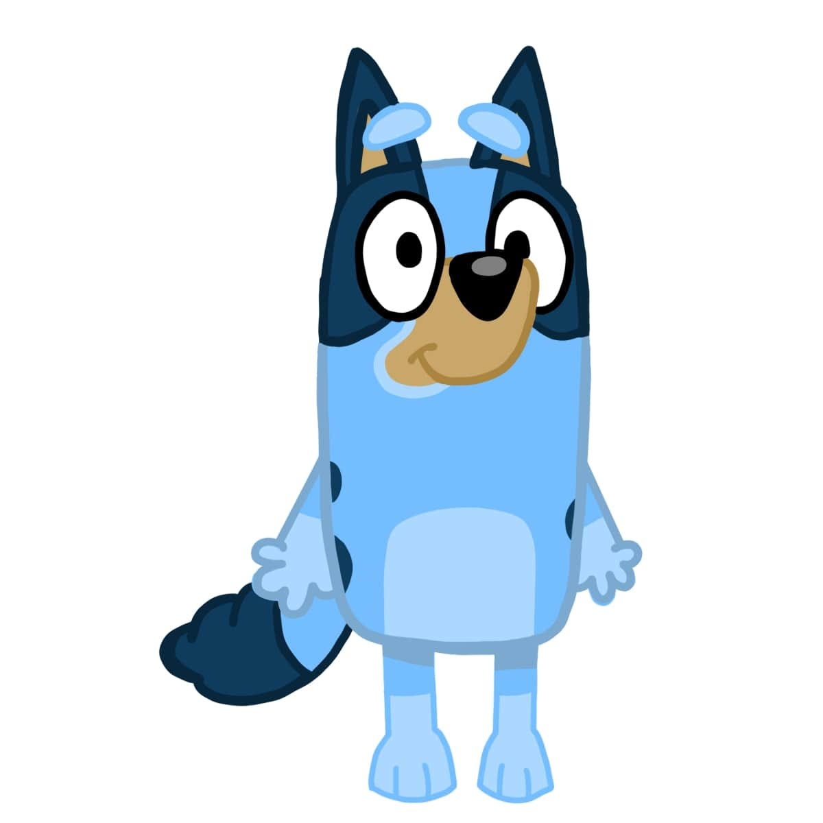 is bluey a boy or girl