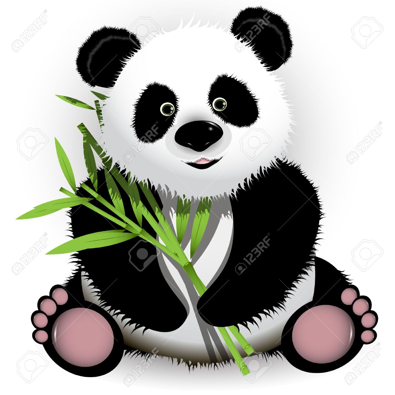 panda curioso