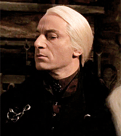 lucius malfoy x reader