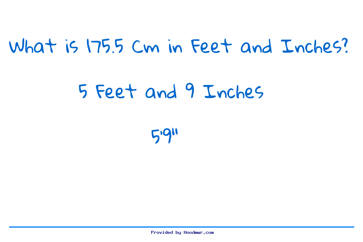 175.7 cm in feet