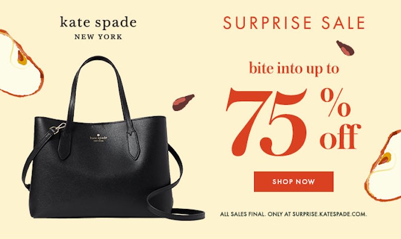 surprise katespade com