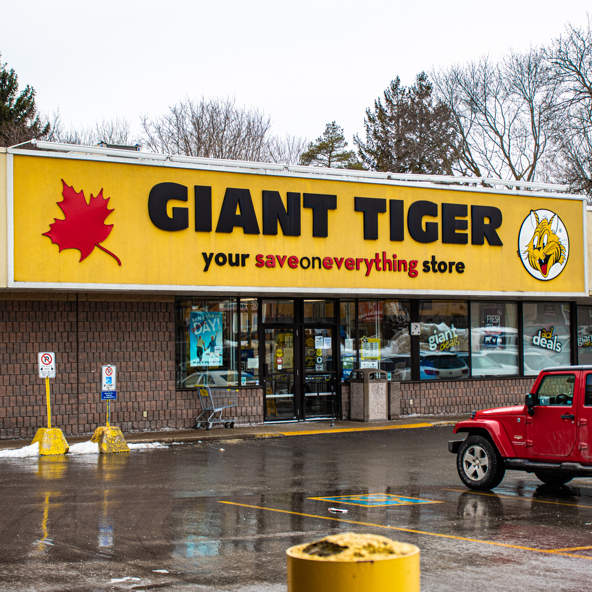 giant tiger hours