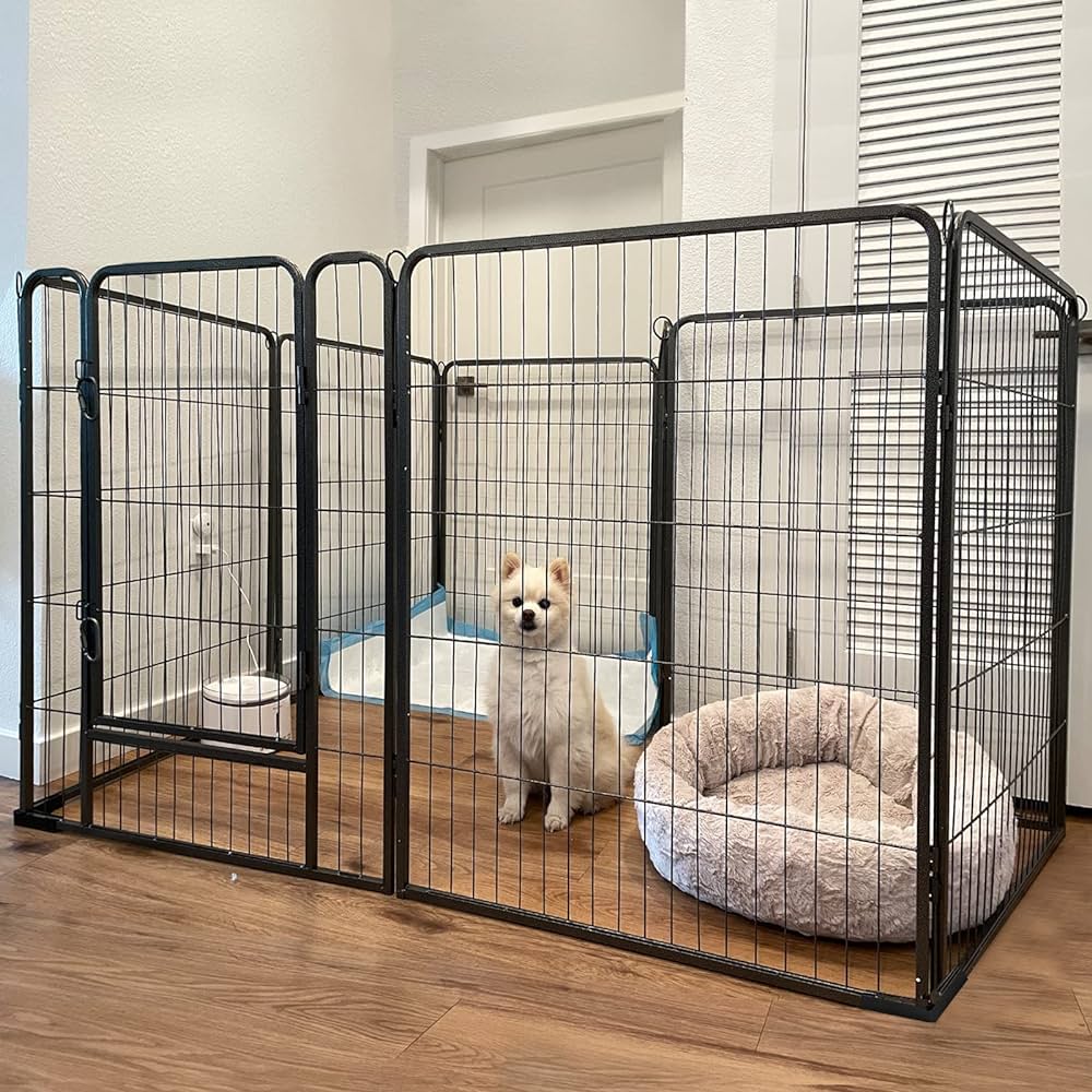 dog pen indoor