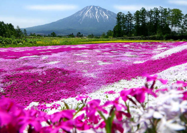 hokkaido weather april 2020